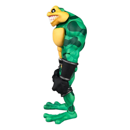 Zitz Battletoads Anthology Series Action Figure Wave 1 15 cm