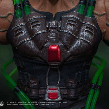 Injustice: Gods Among Us Action Figure 1/12 Bane 23 cm